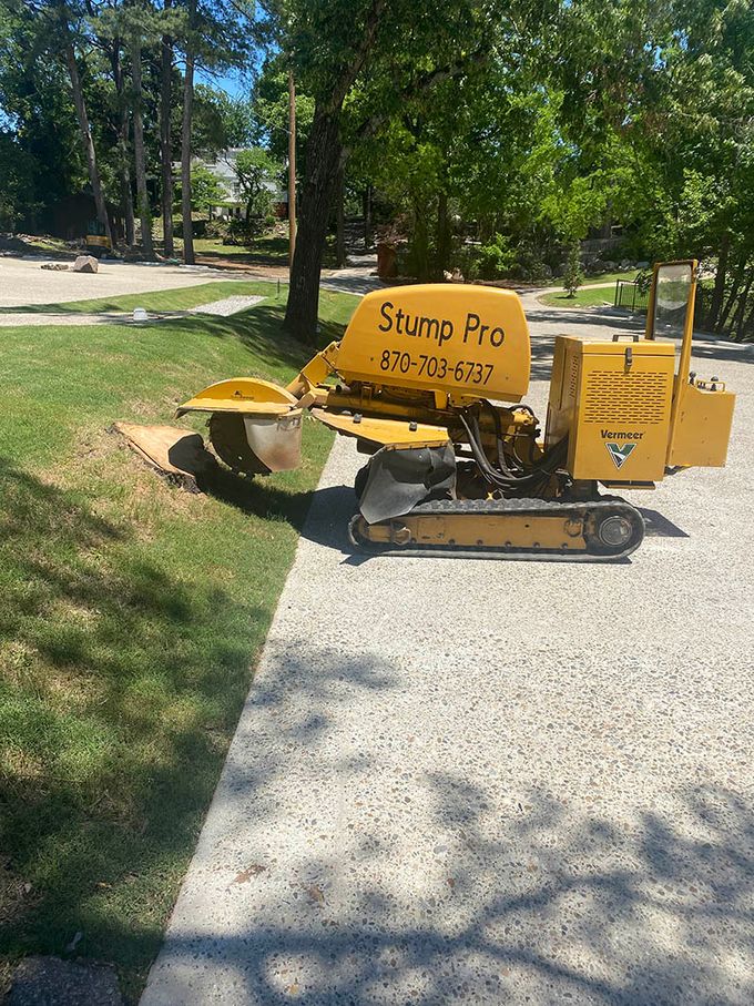 Stump grinding service  by Stump Pro Grinding
