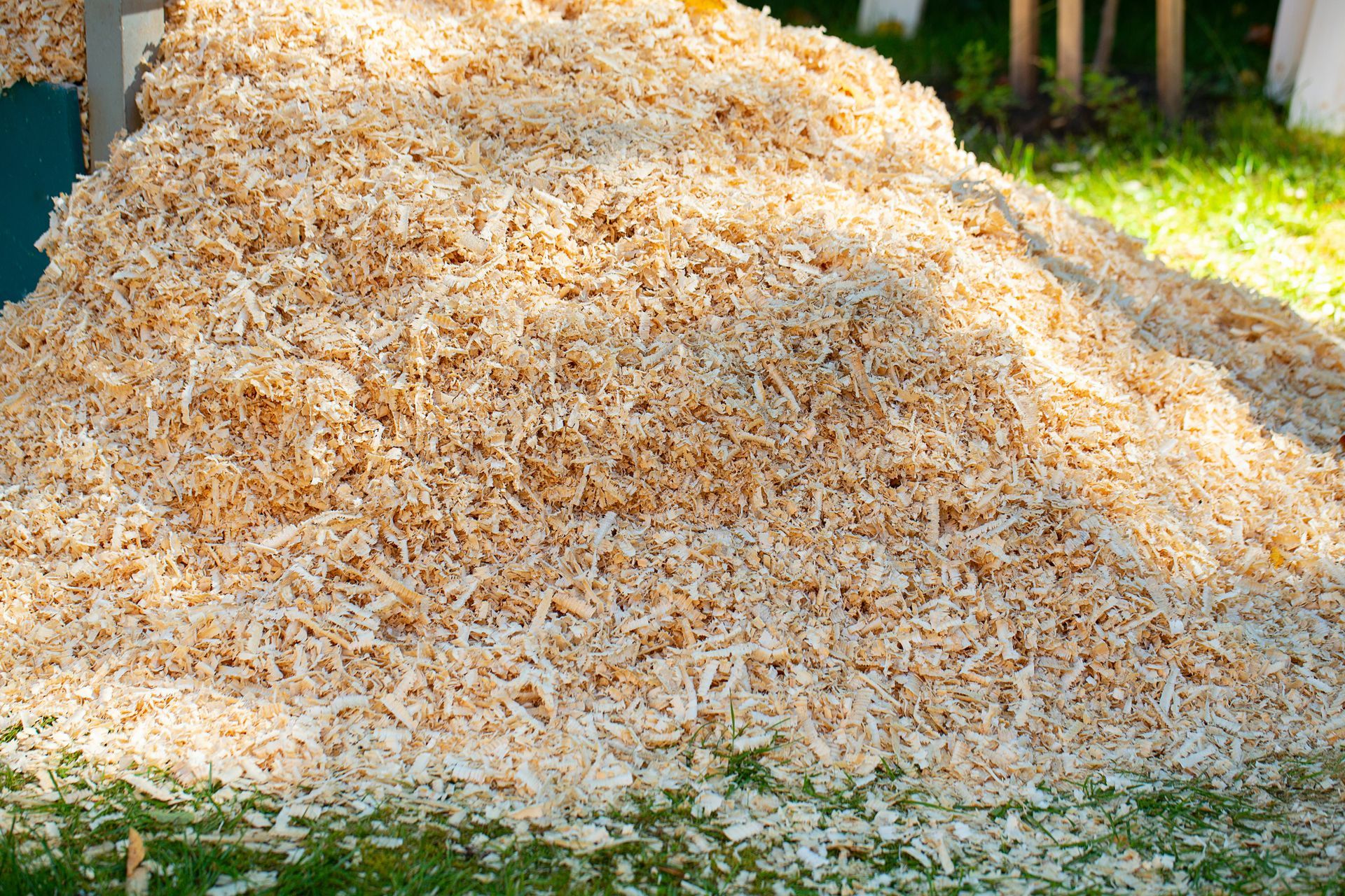 Wooden sawdust