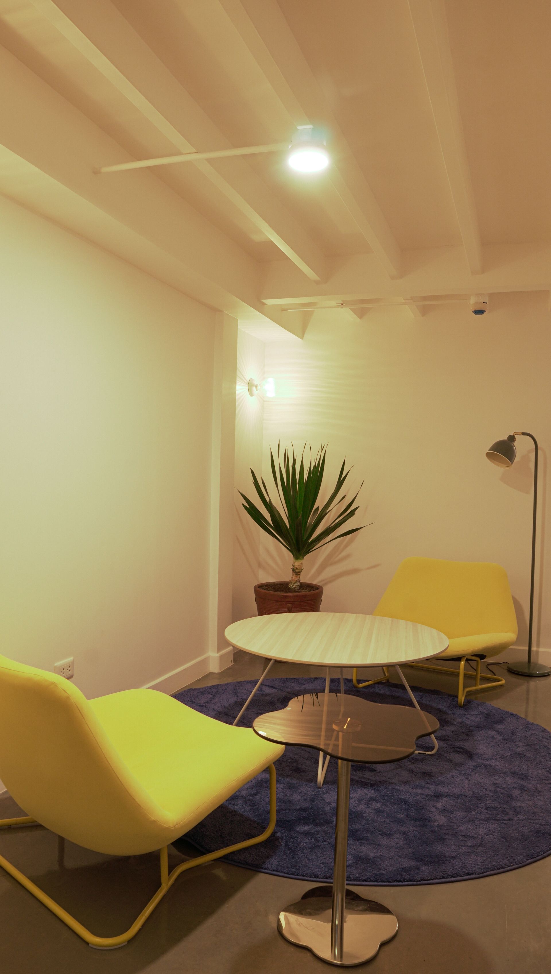 Yellow chairs, round tables, and a plant in a room with a blue rug and a ceiling fan.