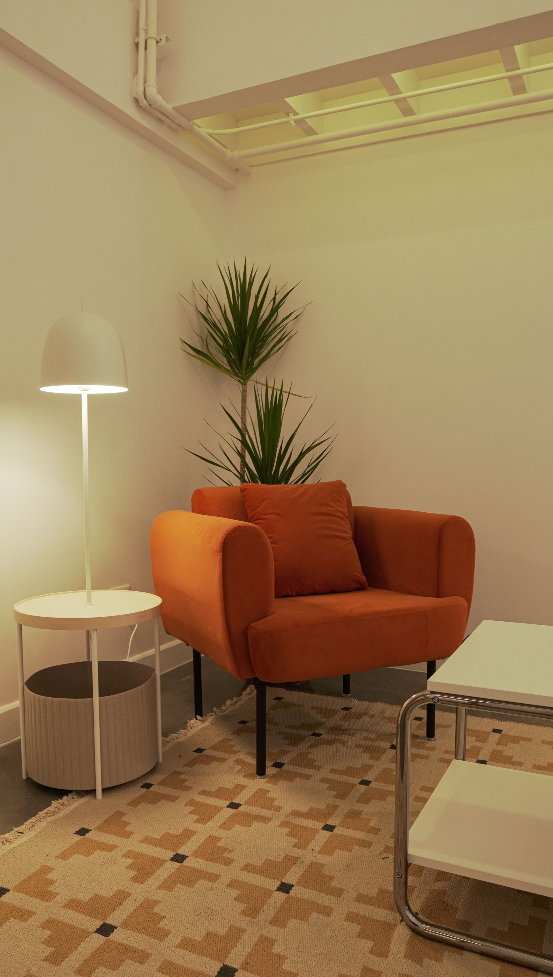 An orange armchair and plant in a room with a floor lamp and patterned rug.