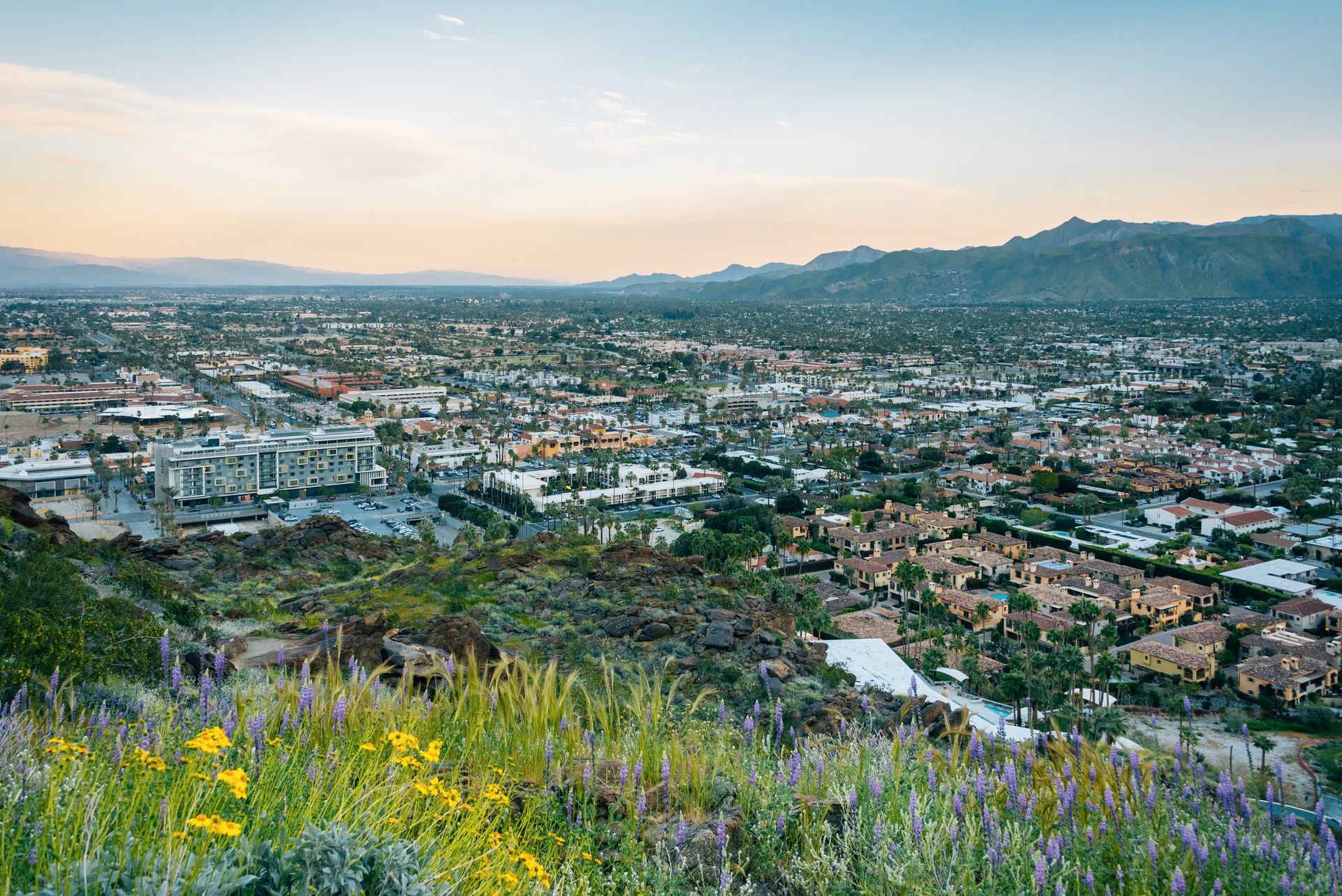 View of a city nestled in a valley, surrounded by mountains, with wildflowers in the foreground.