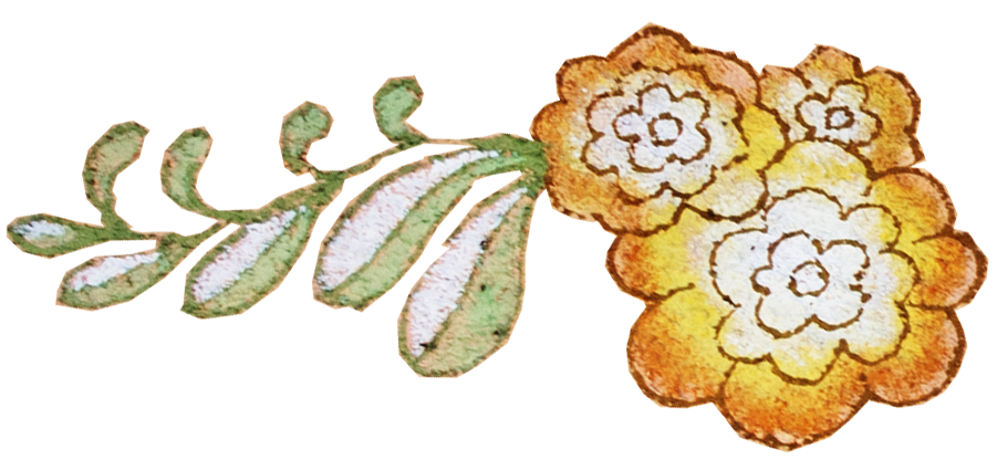 Floral illustration with yellow and orange flowers and green leaves.