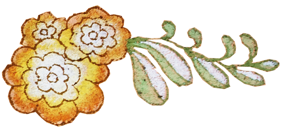 Three orange flowers with white centers and green leaves.