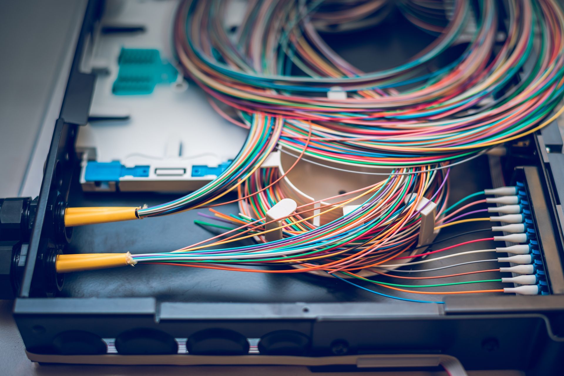 Fiber optic cables inside a network box, various colored wires and connections.