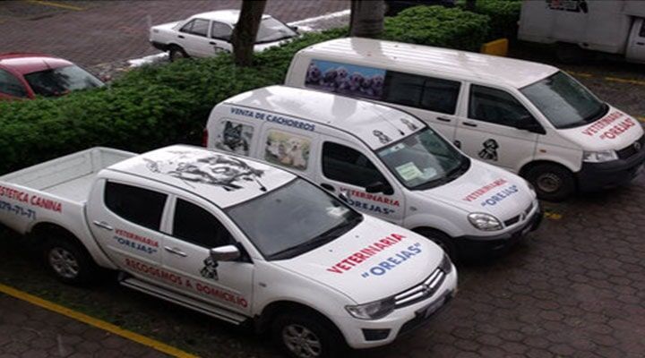 HOSPITAL VETERINARIO OREJAS