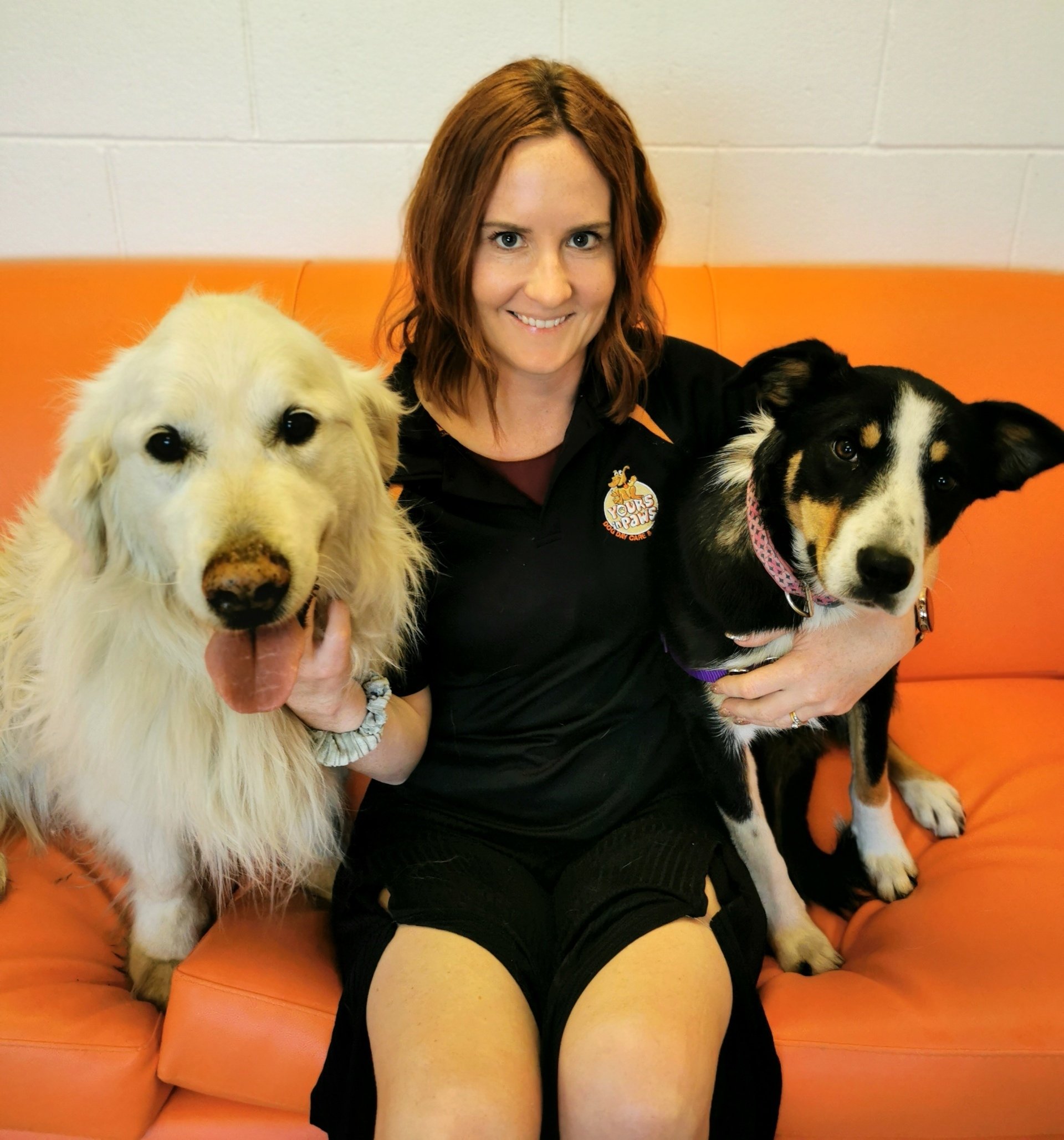 Training Yours in Paws Dog Daycare & Training
