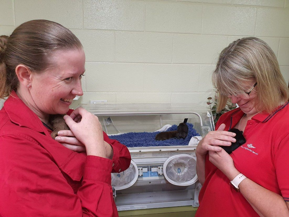 Two Women in Red Shirts Smile — Mount Isa Veterinary Surgery In Ryan, QLD
