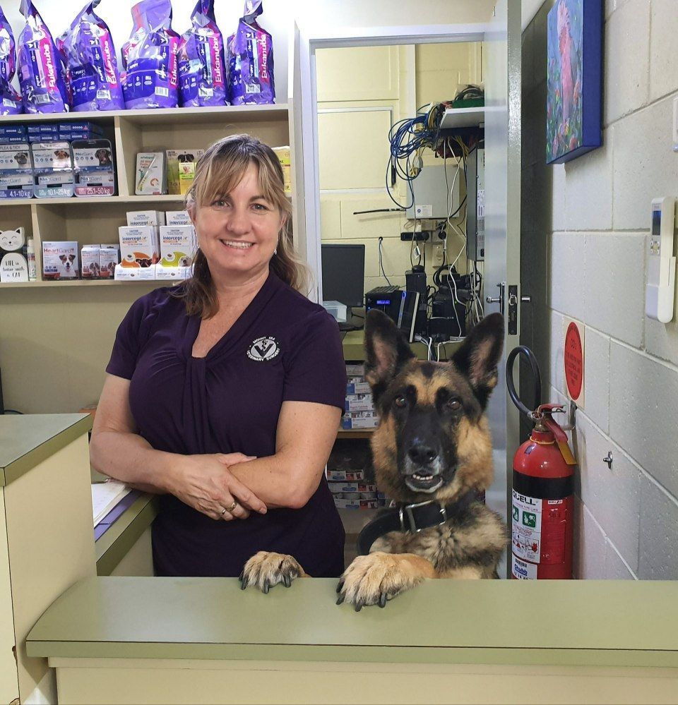 Woman and German Shepherd Dog — Mount Isa Veterinary Surgery In Ryan, QLD