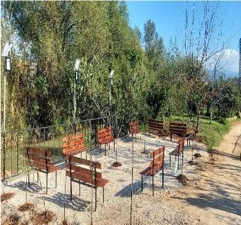 A row of wooden benches in a park with trees in the background