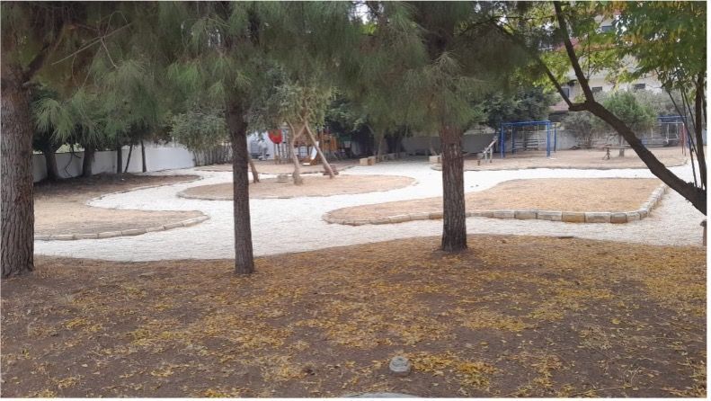 A park with trees and leaves on the ground