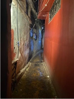 A narrow alleyway between two buildings with red walls.