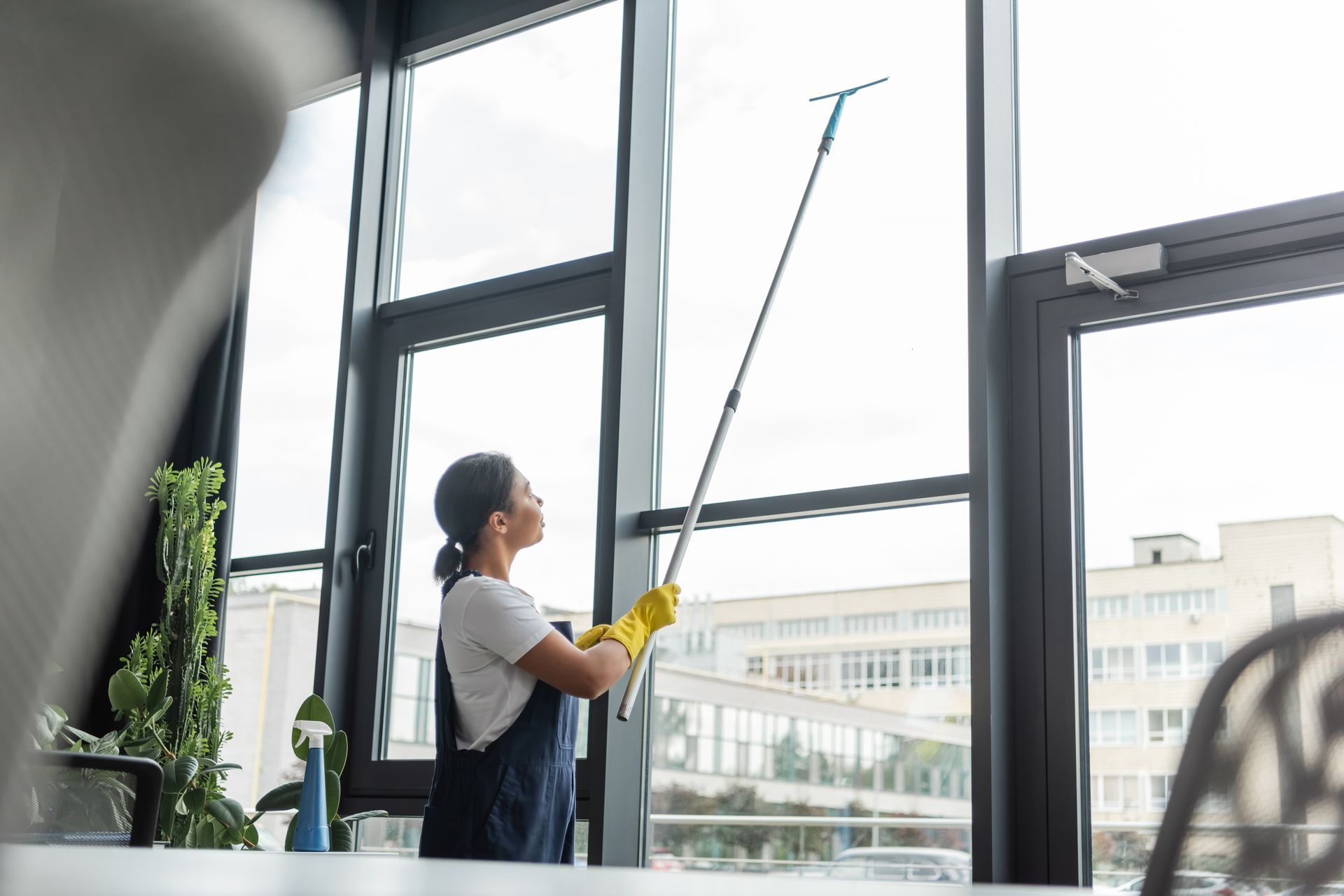 Commercial Window Cleaning Services