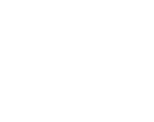 Blank white canvas with a thin black horizontal line near the bottom edge