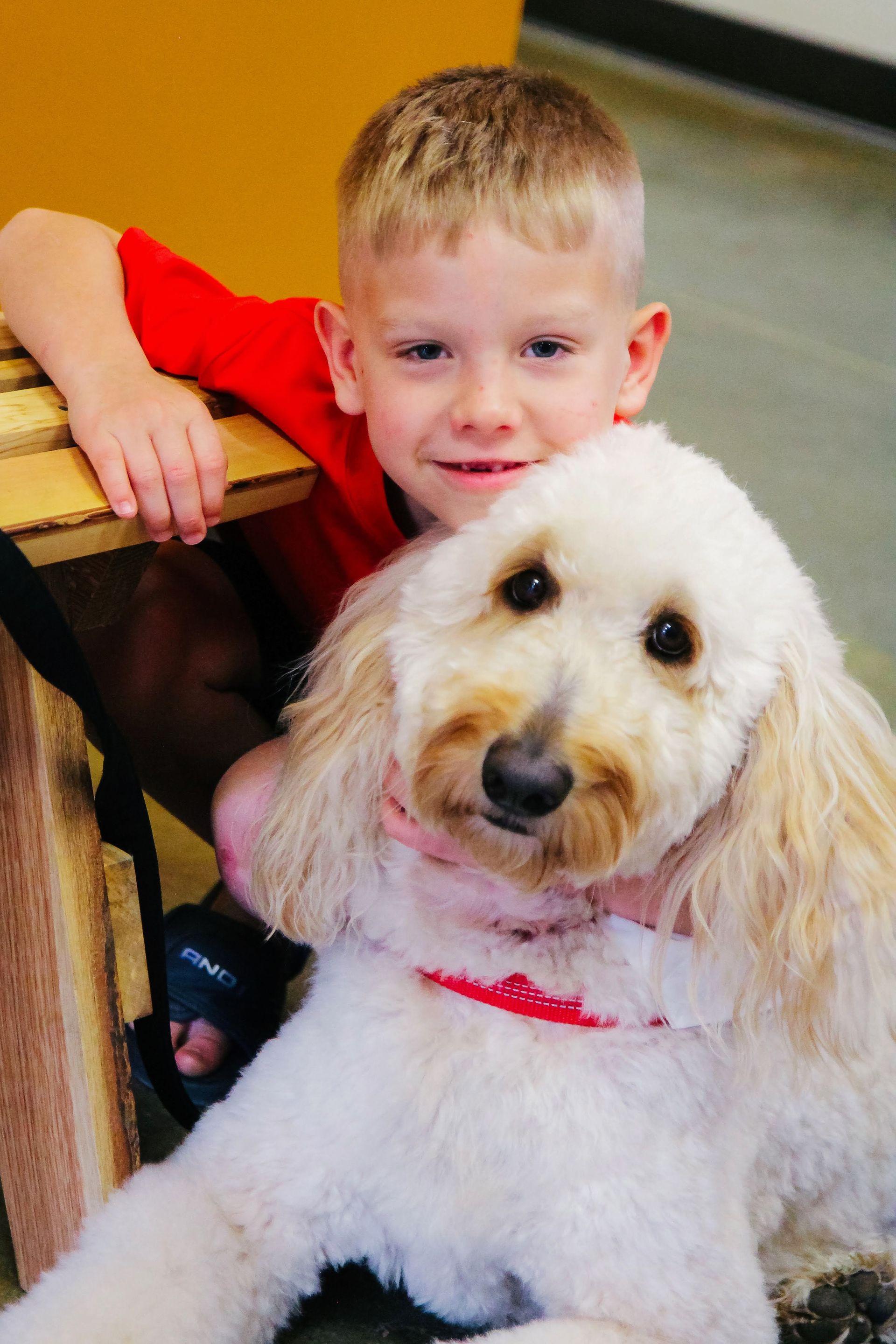 Camper with Luna the therapy dog