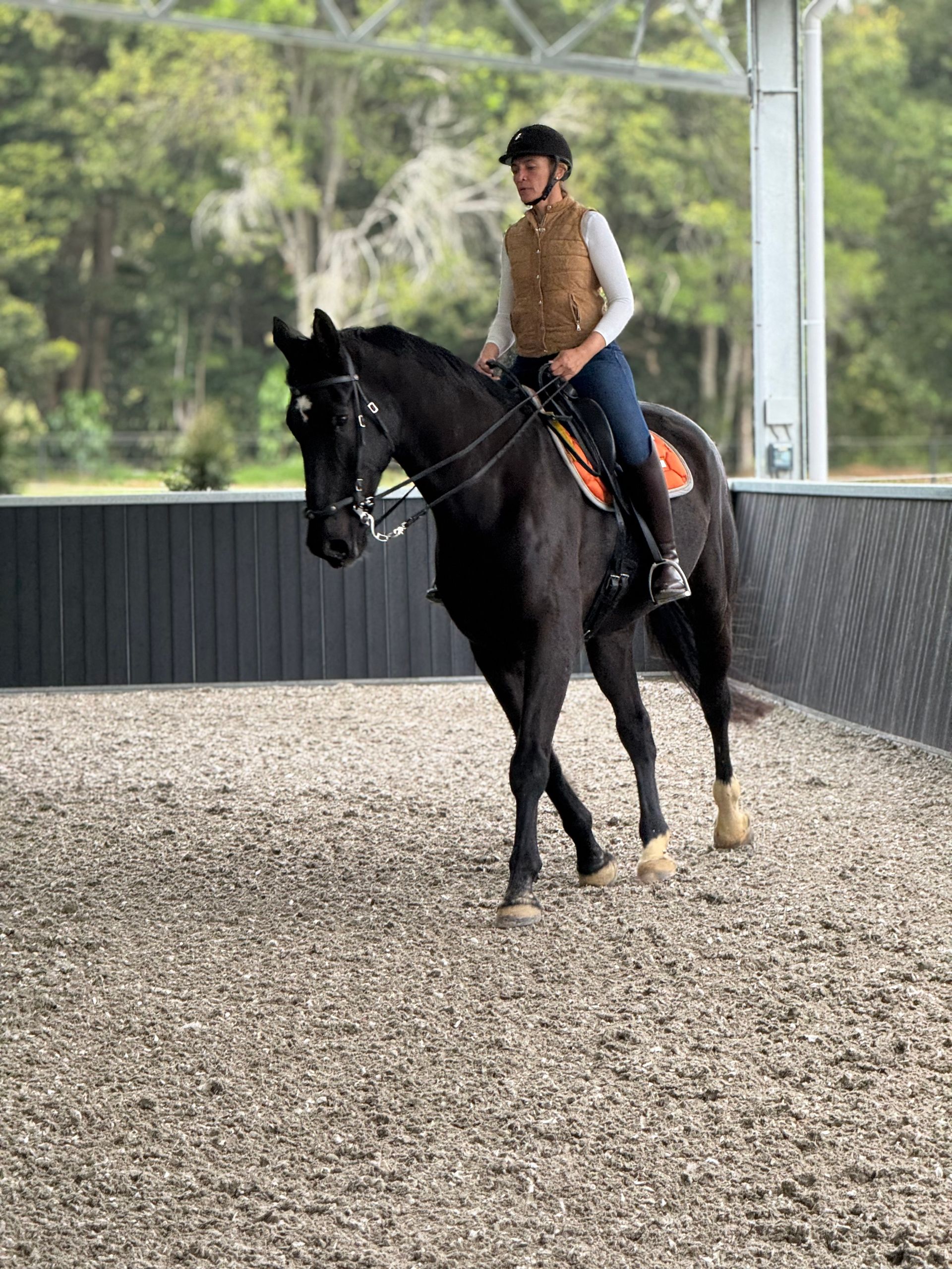 Rio and Rebeca Donaldson at Bexland Equine Facility near Noosa Sunshine Coast 