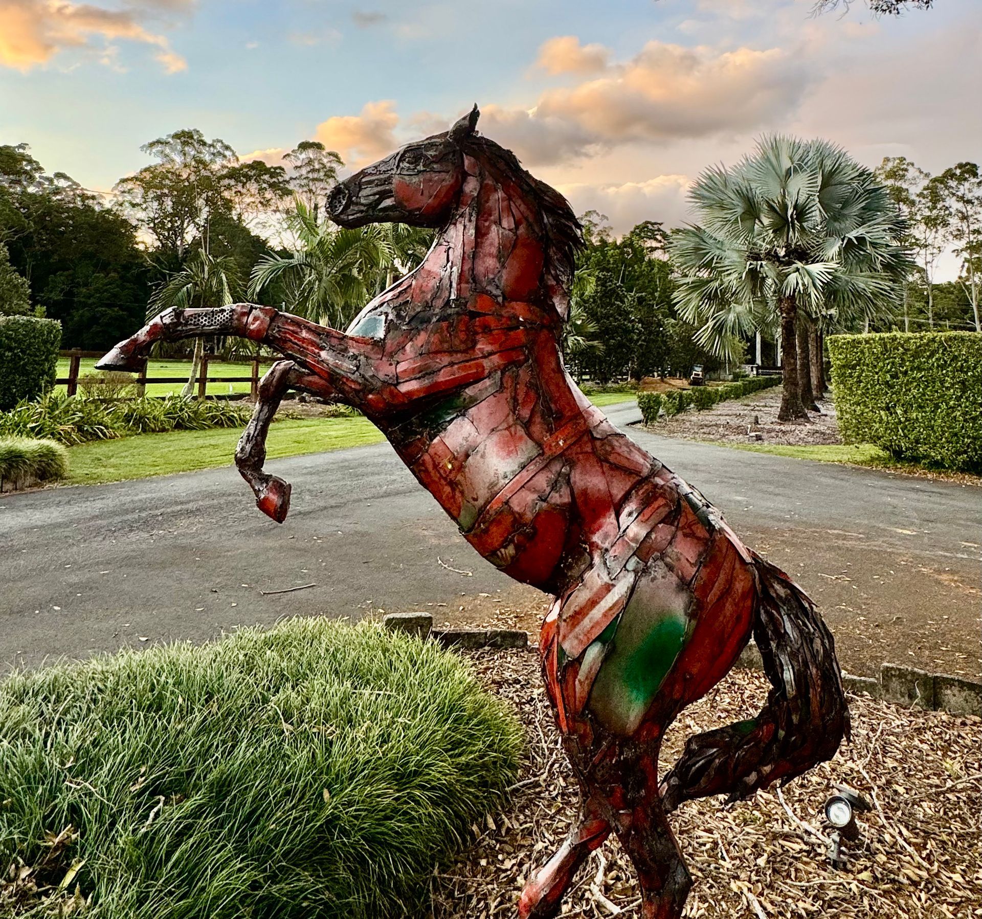 Big Red by Artist Colleen Lavender at Bexland near Noosa Sunshine Coast