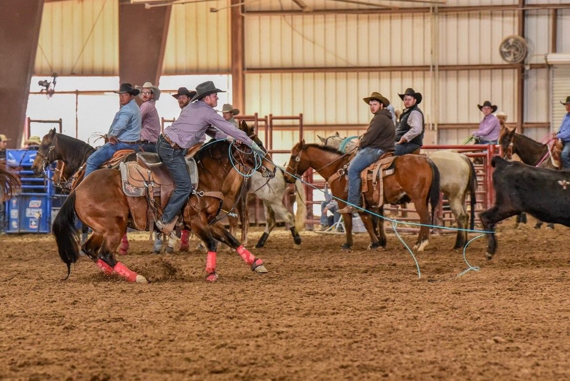 Cowboys on horseback in an indoor rodeo arena, gathered around a calf during a roping event.