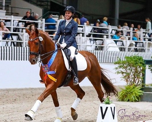Rider in navy jacket on chestnut horse in an arena, moving past spectators and white barriers