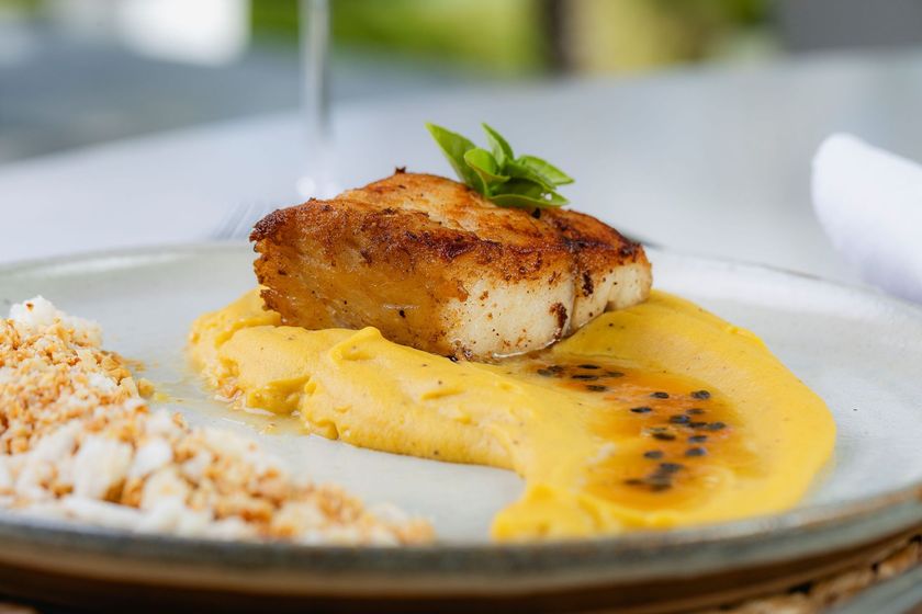Filé de peixe grelhado ao molho amarelo cremoso com arroz como acompanhamento, servido em um prato branco.