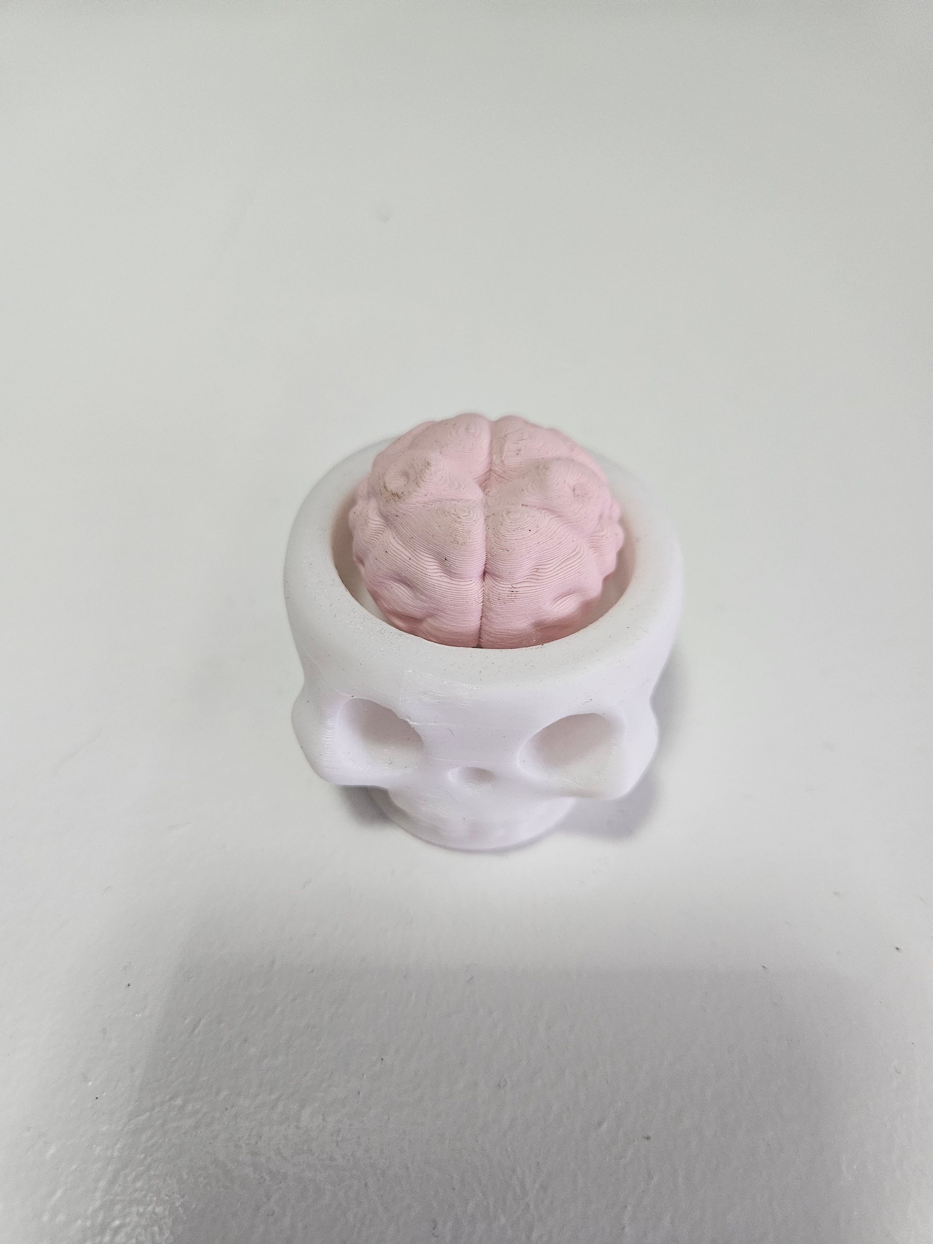 Small pink brain model in a white skull-shaped container on a plain light surface