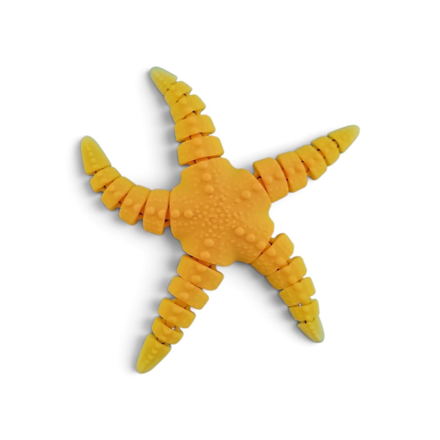 Flexi Starfish