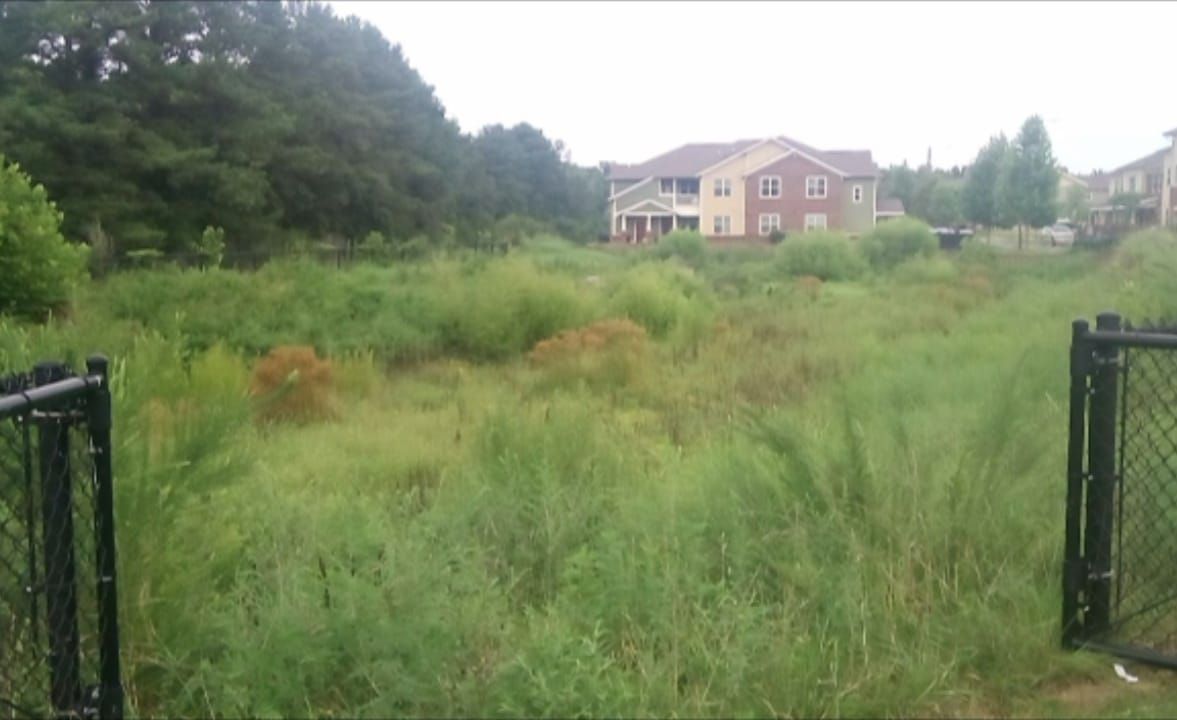 Overgrown field with tall grass, behind a black fence, and apartment buildings in the background.