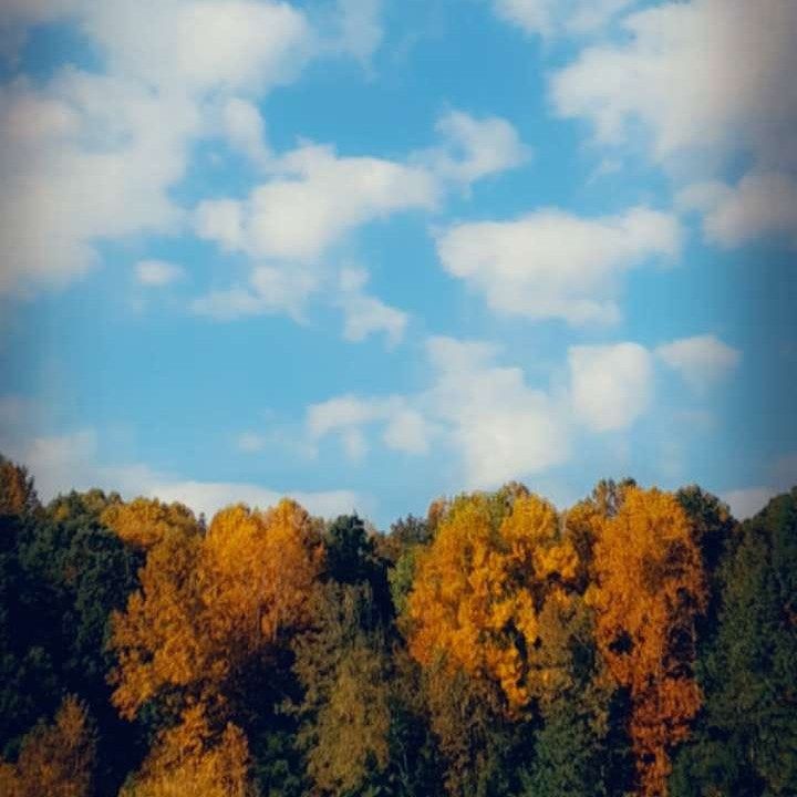 Colorful autumn trees below a bright blue sky with scattered white clouds.