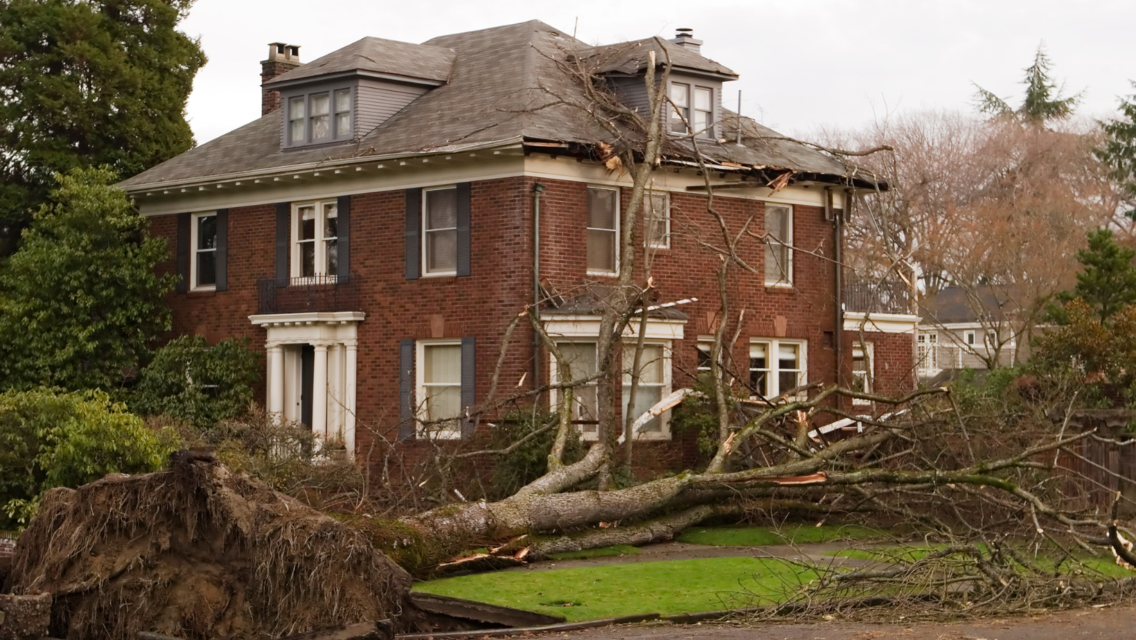 yard and property cleanup highland il