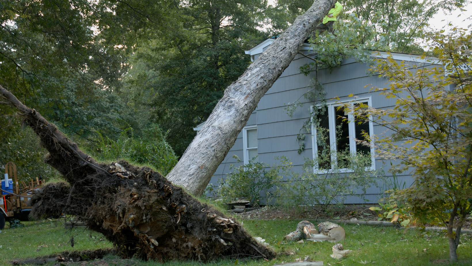 property cleanup