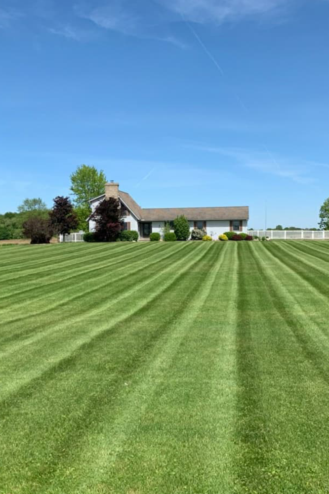 Green striped lawn leads to a white house under a blue sky.