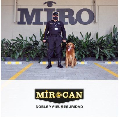 Servicio Seguridad Mirocan