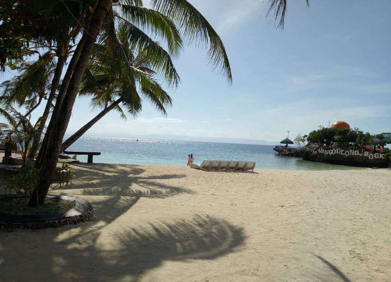 A sandy beach with palm trees and a body of water in the background