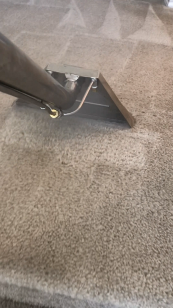 Low-Cost Carpet Clea