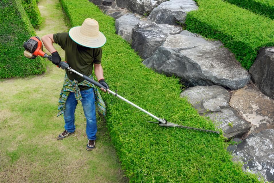 A Man Is Cutting a Hedge with A Hedge Trimmer in A Garden — Active Ables Community Services In Tamworth, NSW