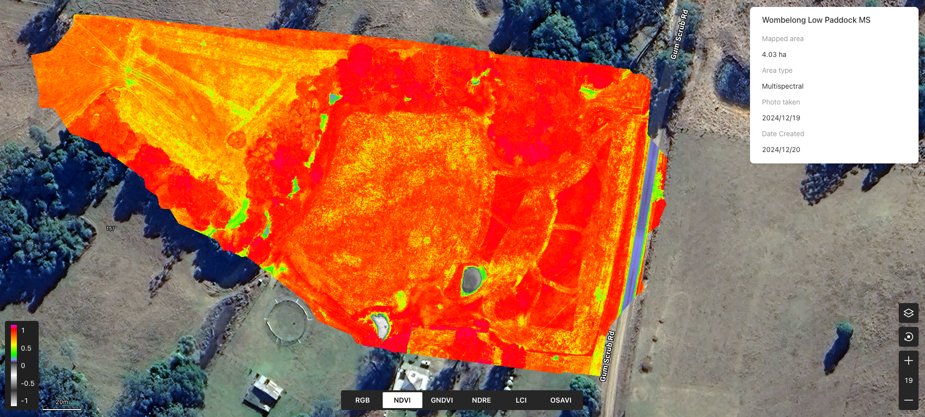 NDVI Image