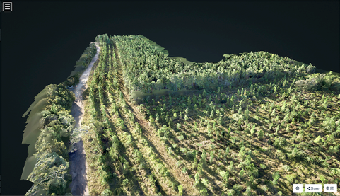 Photogrammetry 3D