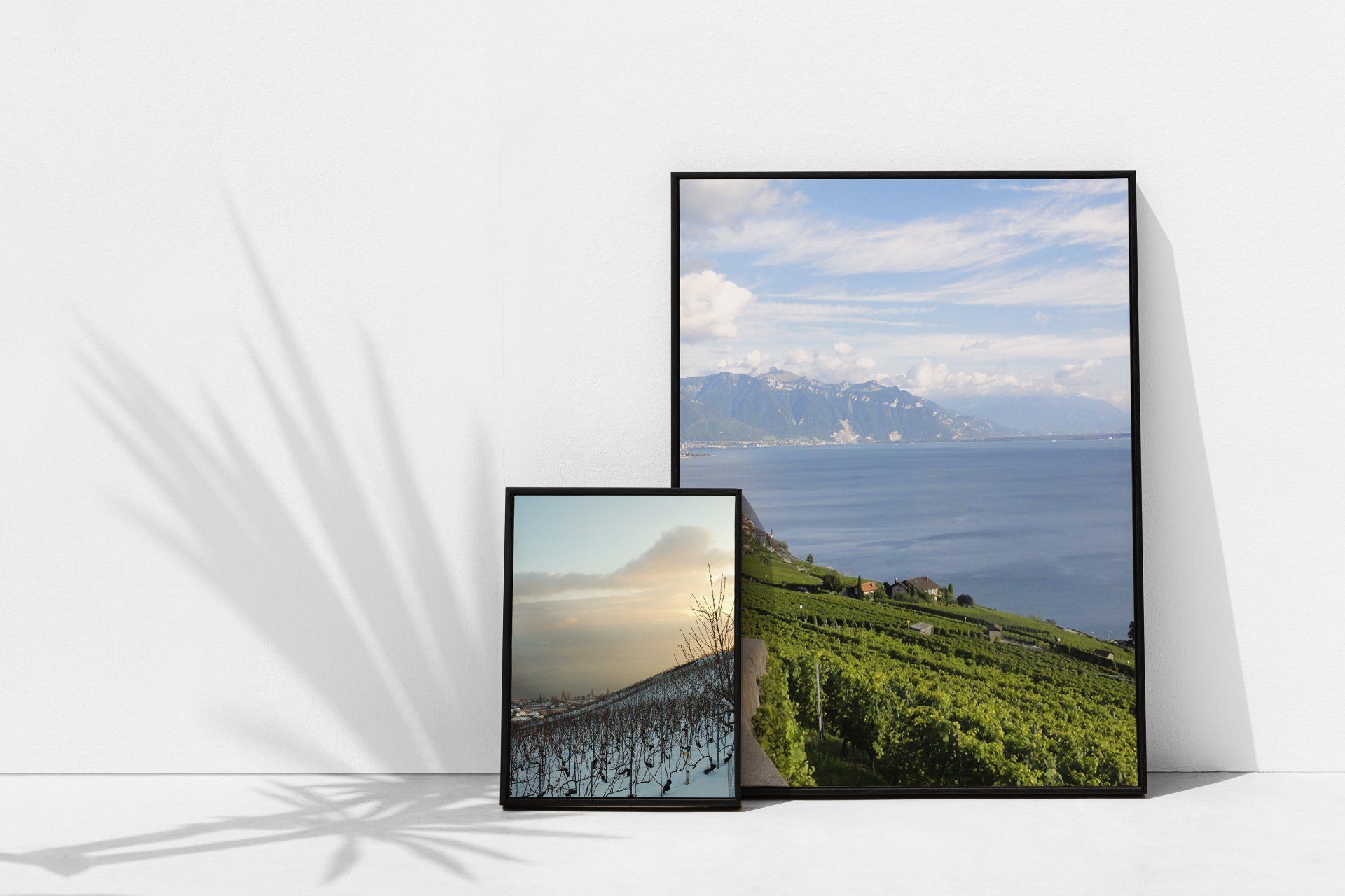 Impression grand format Lavaux
