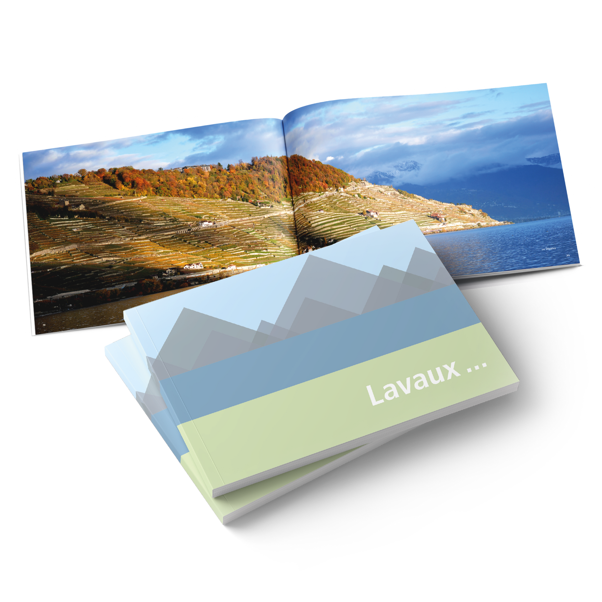 Un livre est ouvert sur une page qui dit lavaux