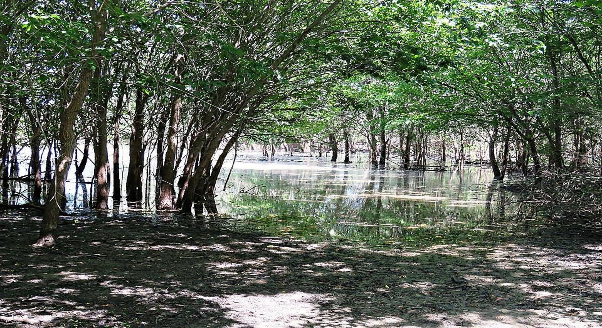 Creek Natural Heritage Center in Denton, Tx - Nature trails, wildlife, and outdoor recreation