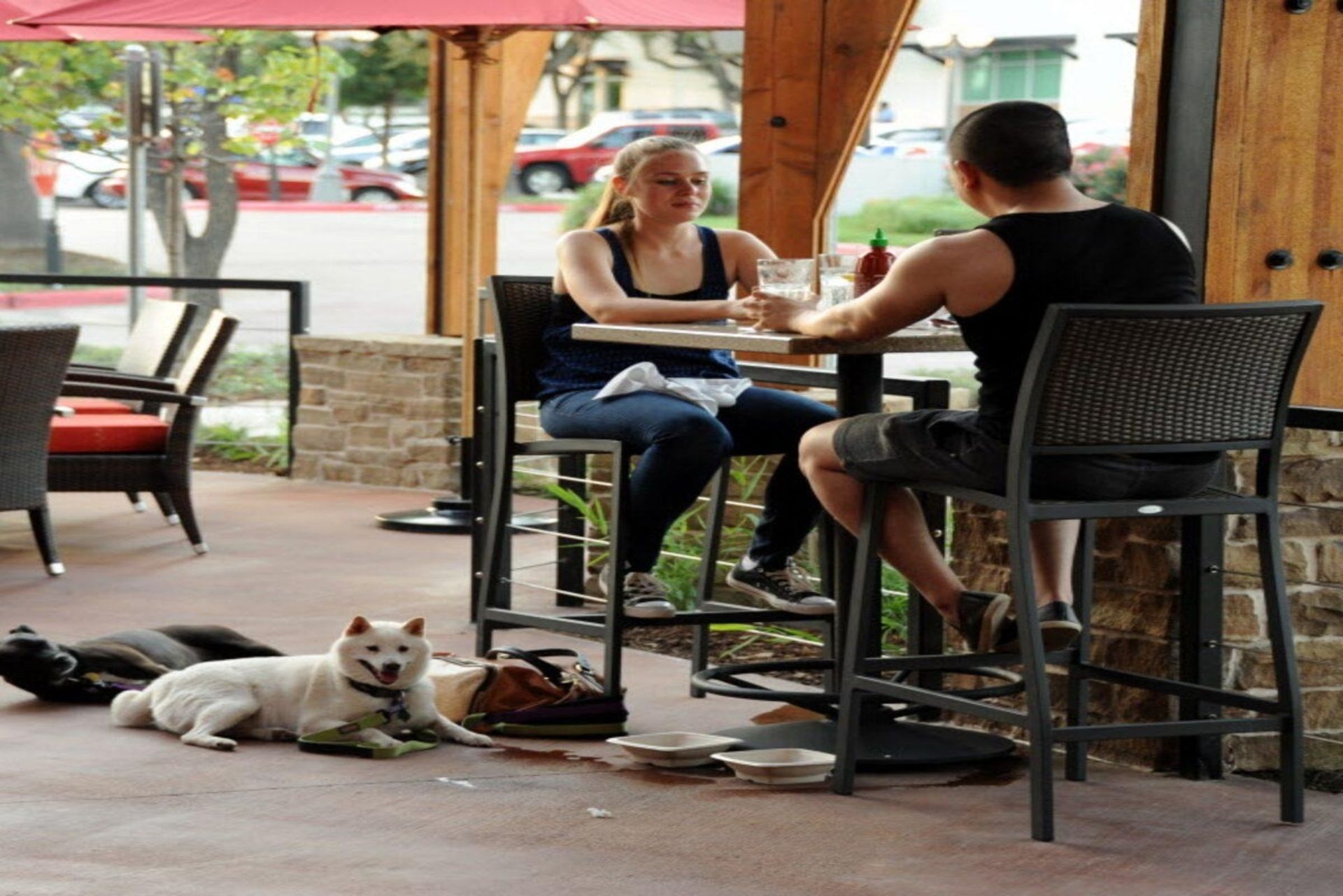 Pup Friendly Patios in Frisco Tx