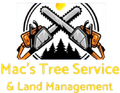 Tree Service in McComb, MS | Mac’s Tree Service Tree Service in McComb, MS | Mac’s Tree Service