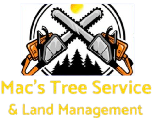 Tree Service in McComb, MS | Mac’s Tree Service Tree Service in McComb, MS | Mac’s Tree Service