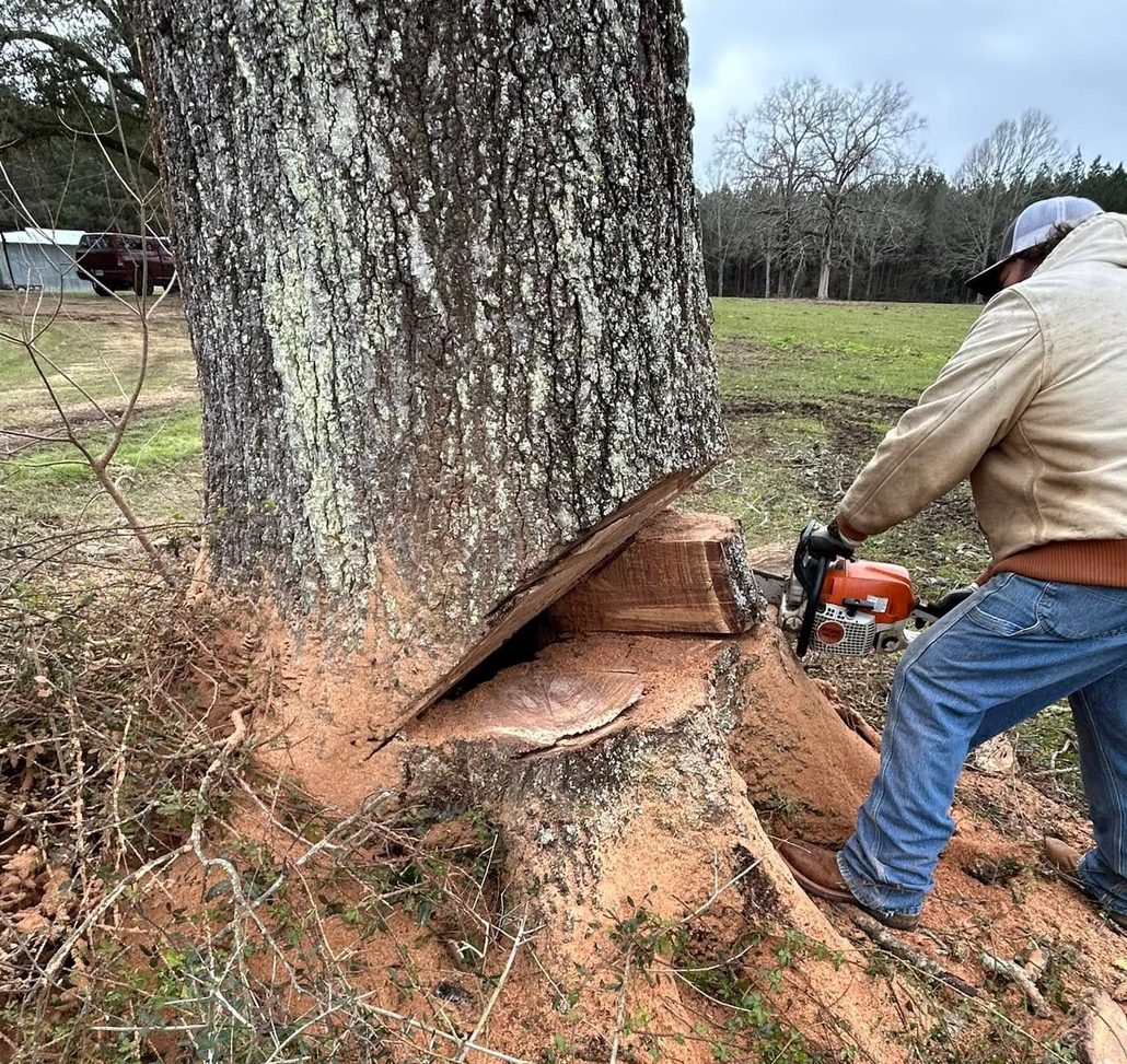 About Mac’s Tree Service