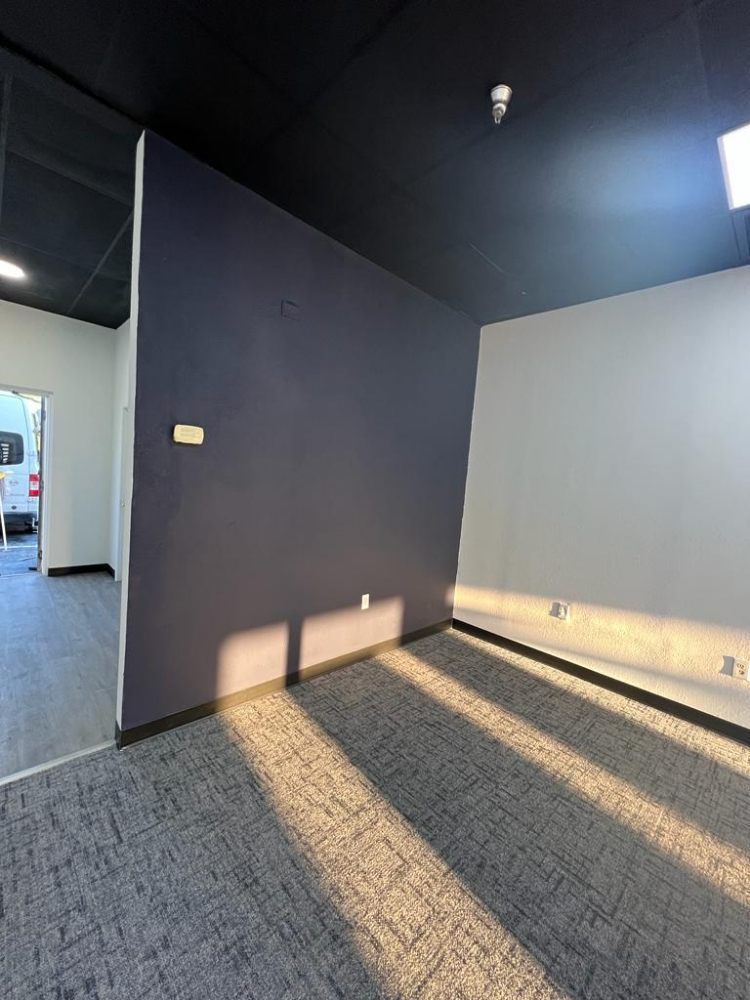 Empty room with gray carpet, white and dark blue walls, black ceiling. Sunlight streams in.
