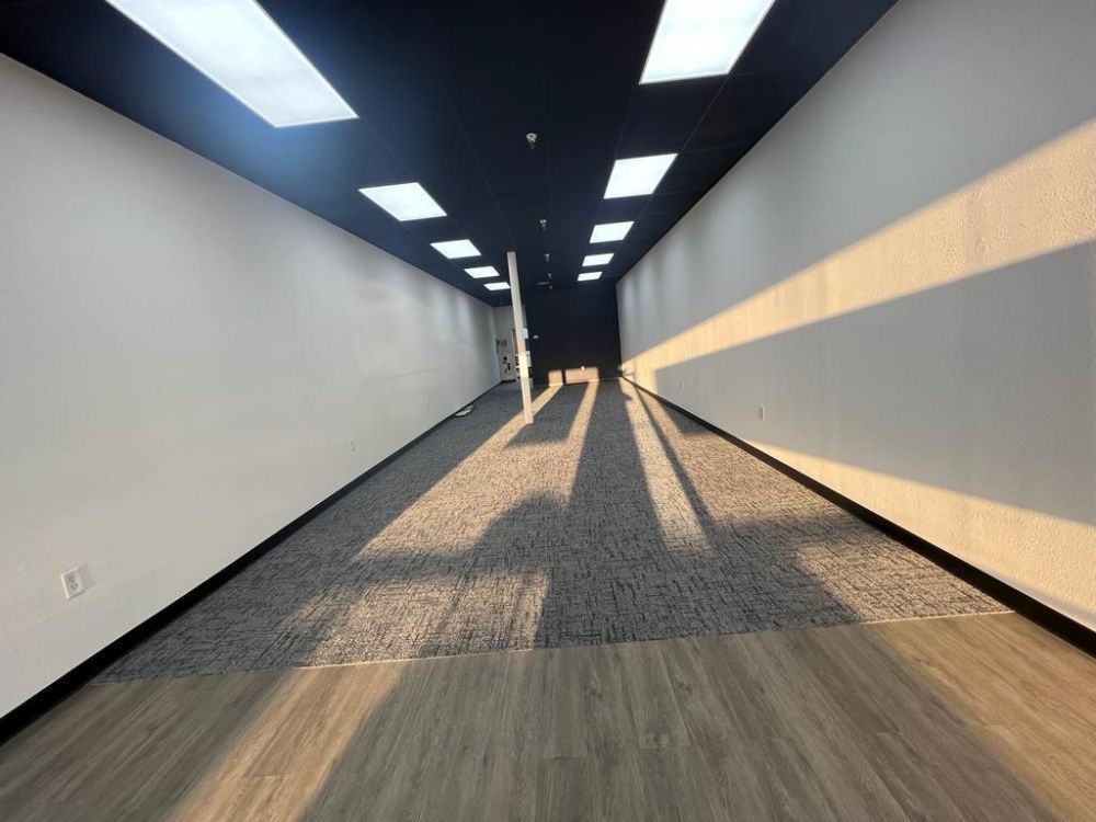 Empty commercial space with white walls, black ceiling, and gray carpet floor. Sunlight creates long shadows.