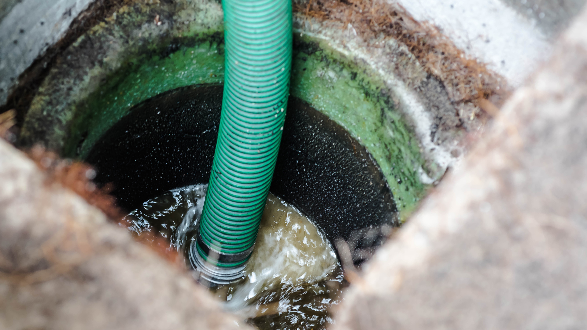 A green hose is being used to pump water out of a septic tank.