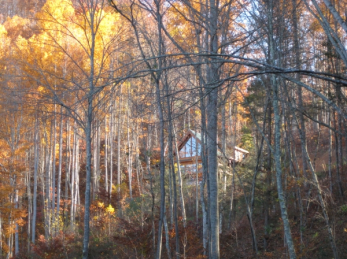 custom home hidden in the trees lot 05 featherstone community franklin nc
