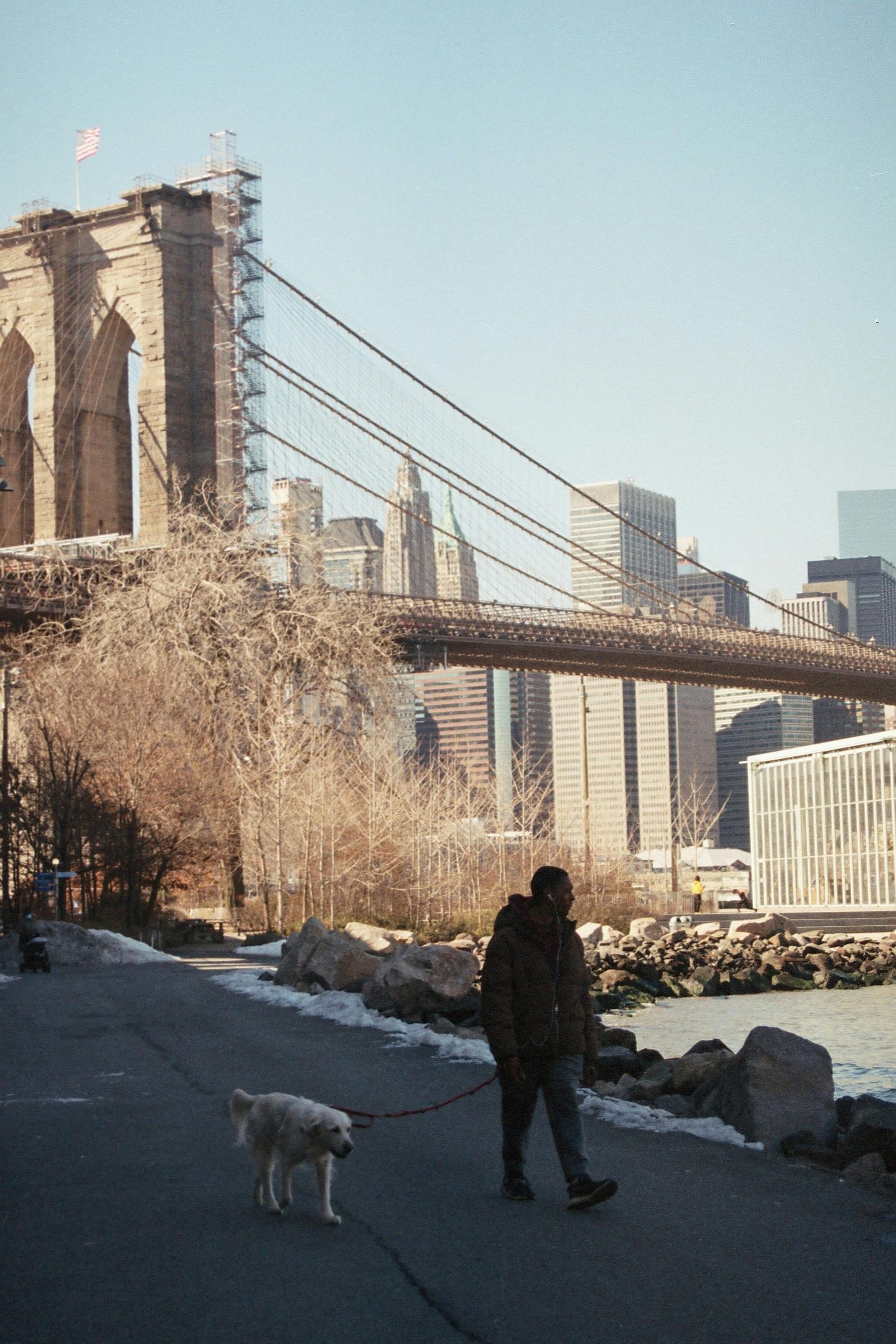 A person walking a dog on a leash in front of a bridge