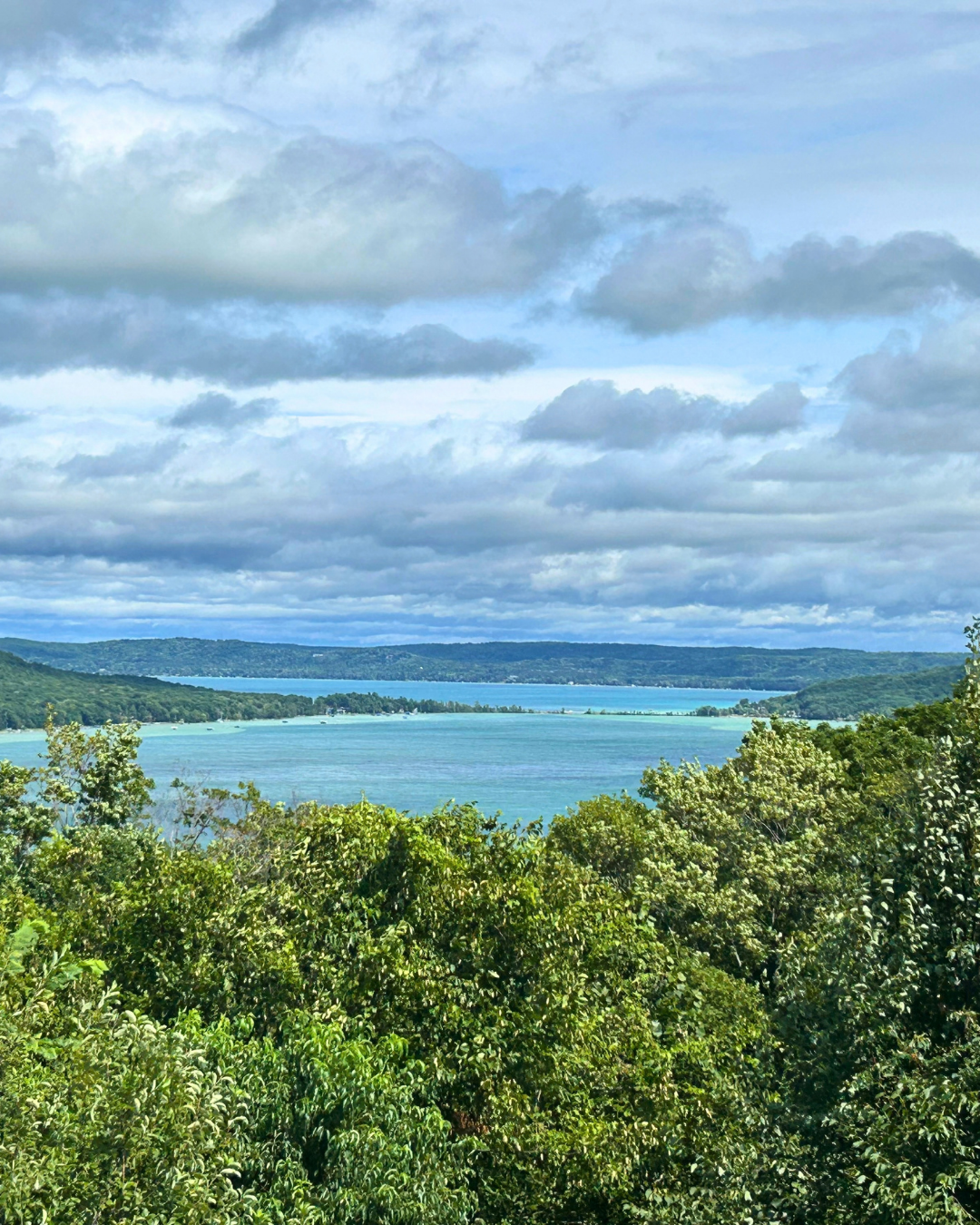 Lush green foliage overlooking a blue bay under a cloudy sky