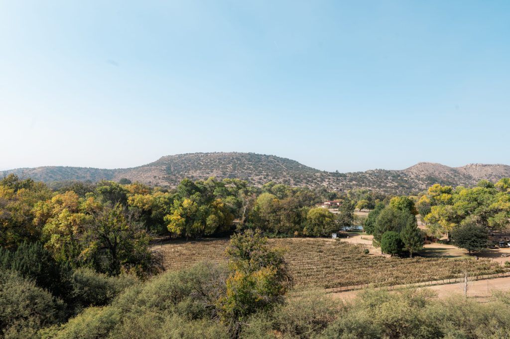 Historic Vineyard | Da Ranch | Verde Valley